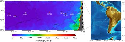 Trophic ecology of midwater zooplankton along a productivity gradient in the Southeast Pacific